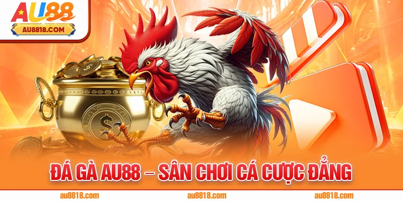 Đá Gà AU88 – Sân Chơi Cá Cược Đẳng Cấp Cho Bet Thủ