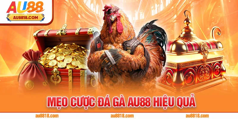 Mẹo Cược Đá Gà AU88 Hiệu Quả