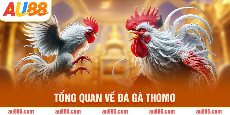 Tổng quan về đá gà Thomo