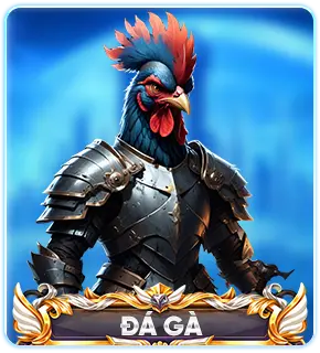 đá gà