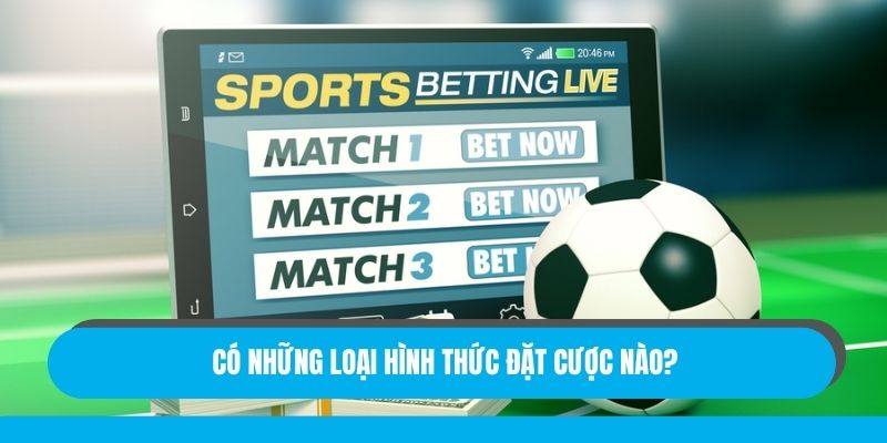 Có những loại hình thức đặt cược nào?