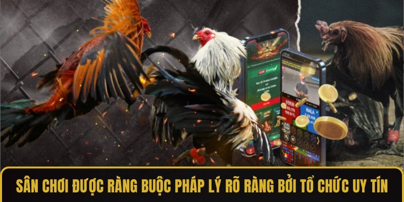 Sân chơi được ràng buộc pháp lý rõ ràng bởi tổ chức uy tín